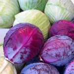 cabbage red and green